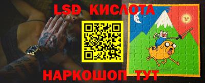 прущие грибы Кулебаки