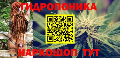 spice Краснознаменск