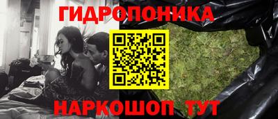 apvp Кунгур